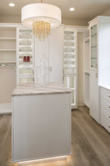 Luxury Walk-in Closet with Glass Display Case for Shoes and purses. Slab doors for other less elegant items. Walk-in Closet complete with island for jewelry.