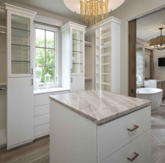 Luxury Walk-in Closet with Glass Display Case for Shoes and purses. Slab doors for other less elegant items. Walk-in Closet complete with island for jewelry.
