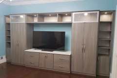 Custom Cabinets for Media Center