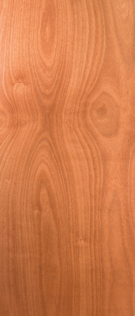 Veneer Door Lauan Mahagony