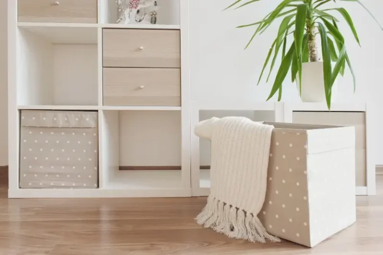 living room storage